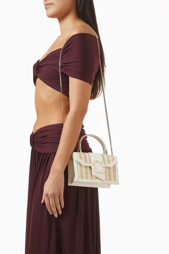Mini Audrey Handbag in Raffia