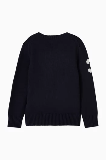 Polo Bear Sweater