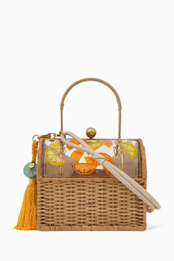 Lole Top Handle Bag in Acrylic & Raffia