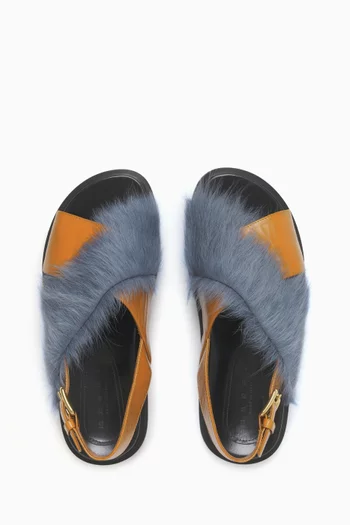 صندل فاسبت جلد وشمواه جلد عجل