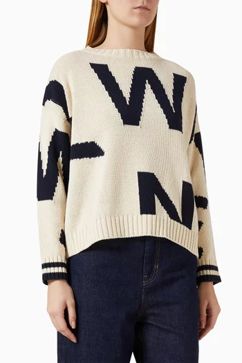 Crewneck Knit Sweater in Cotton Blend