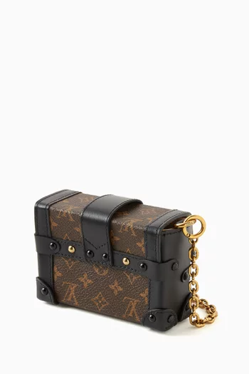 Petite Malle in Monogram Canvas