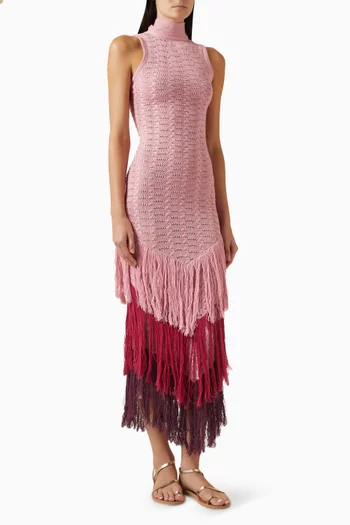 Rumi Fringed Maxi Dress in Knit