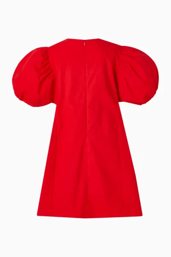 Lunar New Year Embroidered Dress