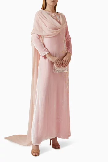 Embroidered Cape Dress in Velvet