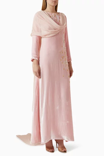 Embroidered Cape Dress in Velvet