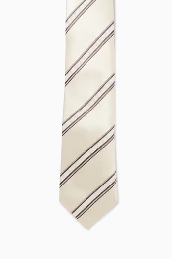 Striped Neck Tie in Silk