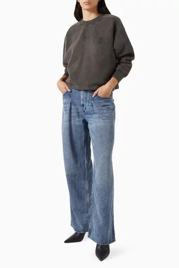 سويت شيرت ساني