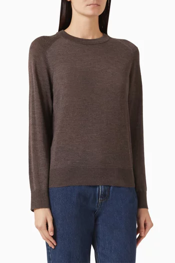 Ditto Crewneck Sweater in Cashmere