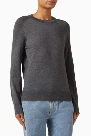 Ditto Crewneck Sweater in Cashmere