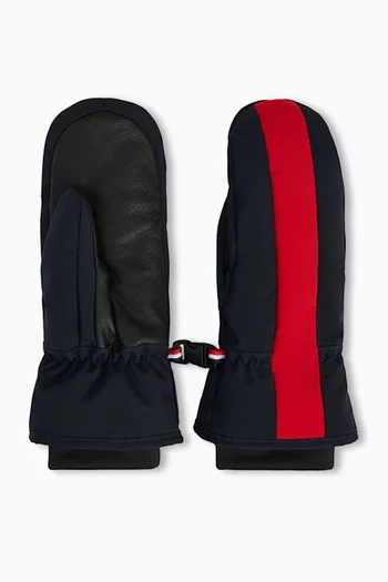 Color Blocked Polar II Ski Gloves