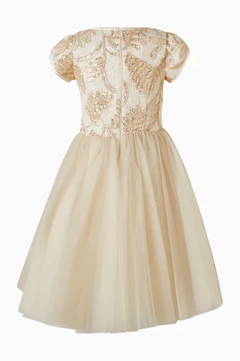 Embroidered Lace Tutu Dress