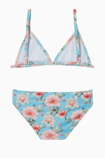 Meadowlight Triangle Bikini Set