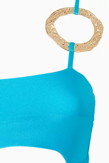 Coralina One-piece Swimsuit in Lurex Lycra