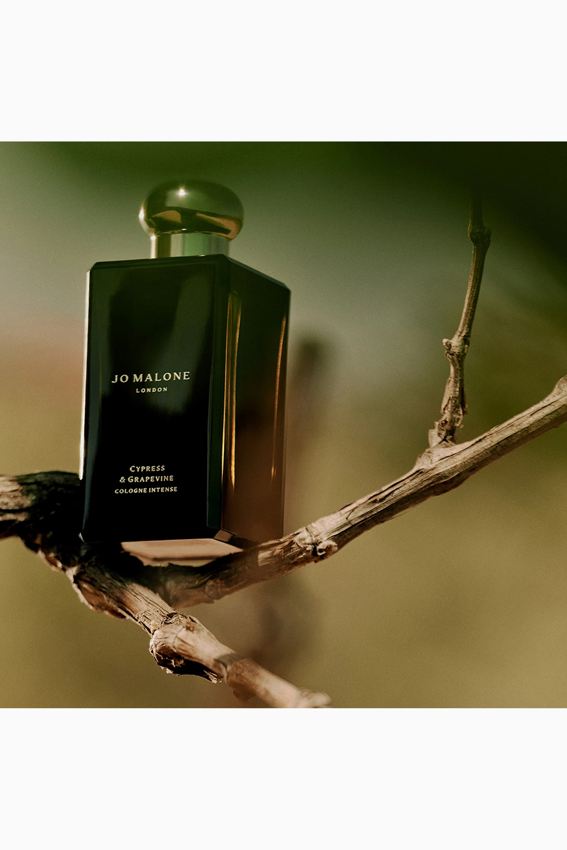 香水(ユニセックス) JO MALONE CYPRESS & GRAPEVINE 50mL サイプレス & グレープバイン コロン インテンス | ジョー