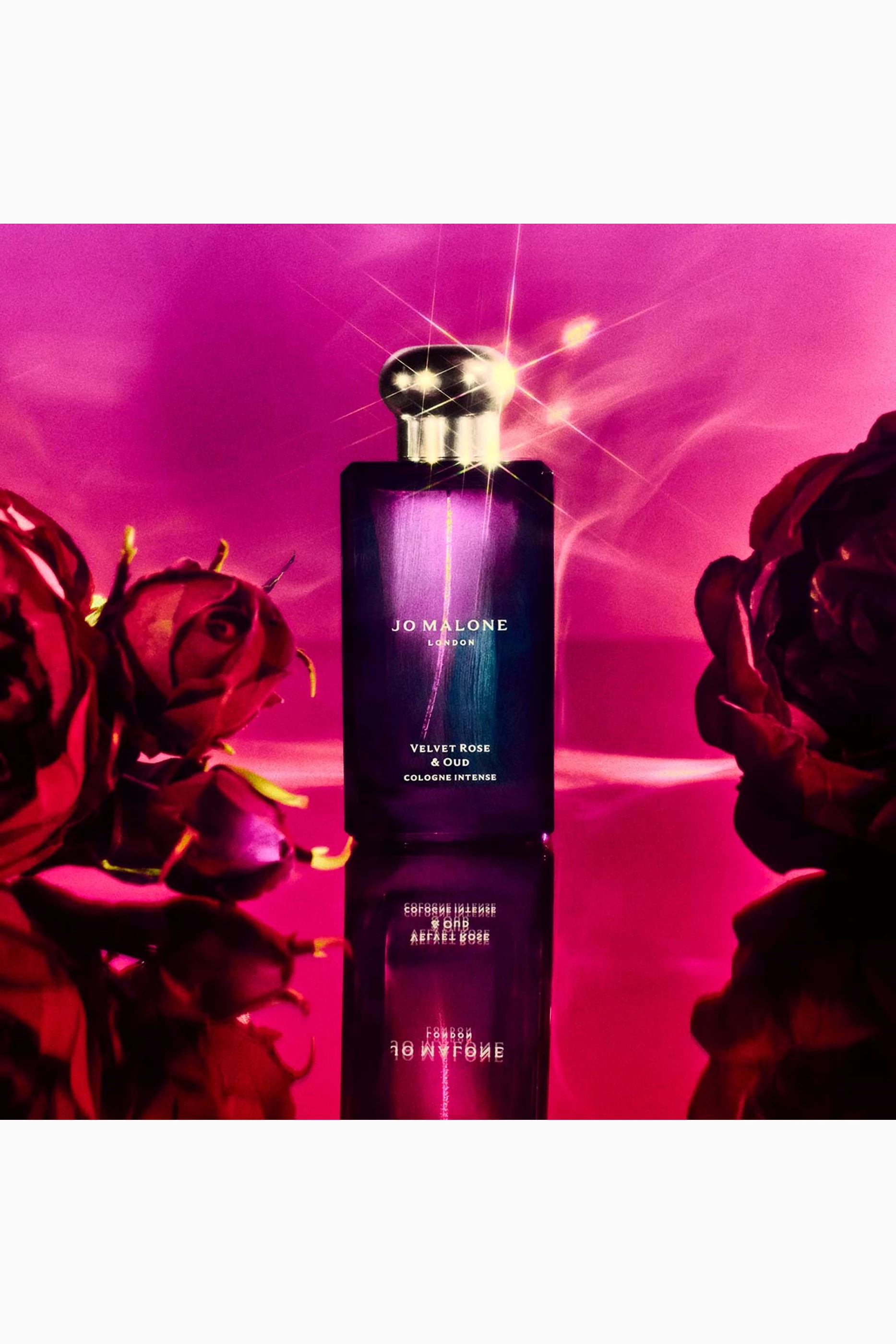 香水(ユニセックス) JO MALONE Velvet Rose & Oud 100ml Jo Malone London Velvet Rose & Oud Cologne Intense | Saks