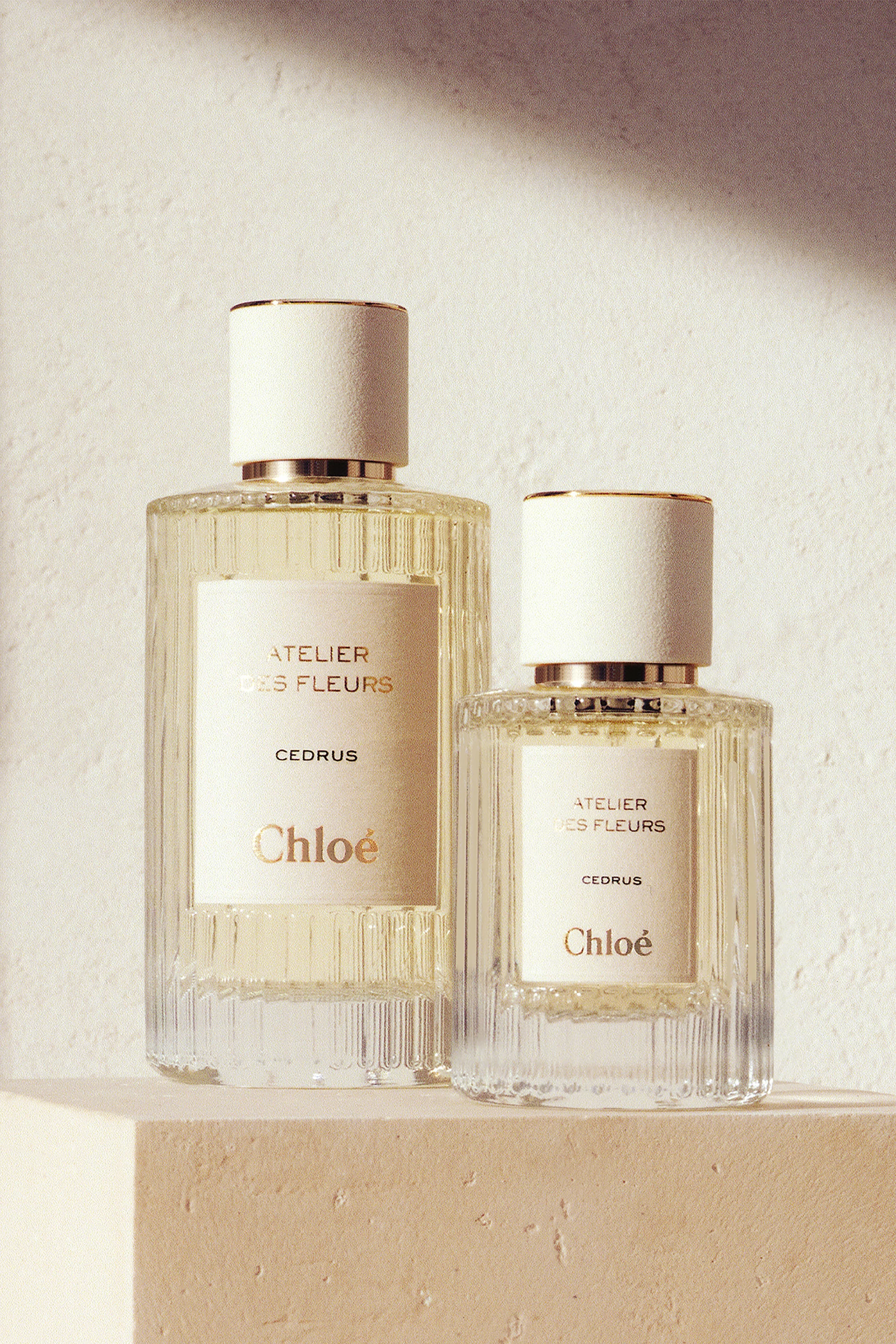Chloé Atelier des Fleurs Cedrus Chloe Atelier Des Fleurs Cedrus Eau De Parfum 50ml – LMCHING