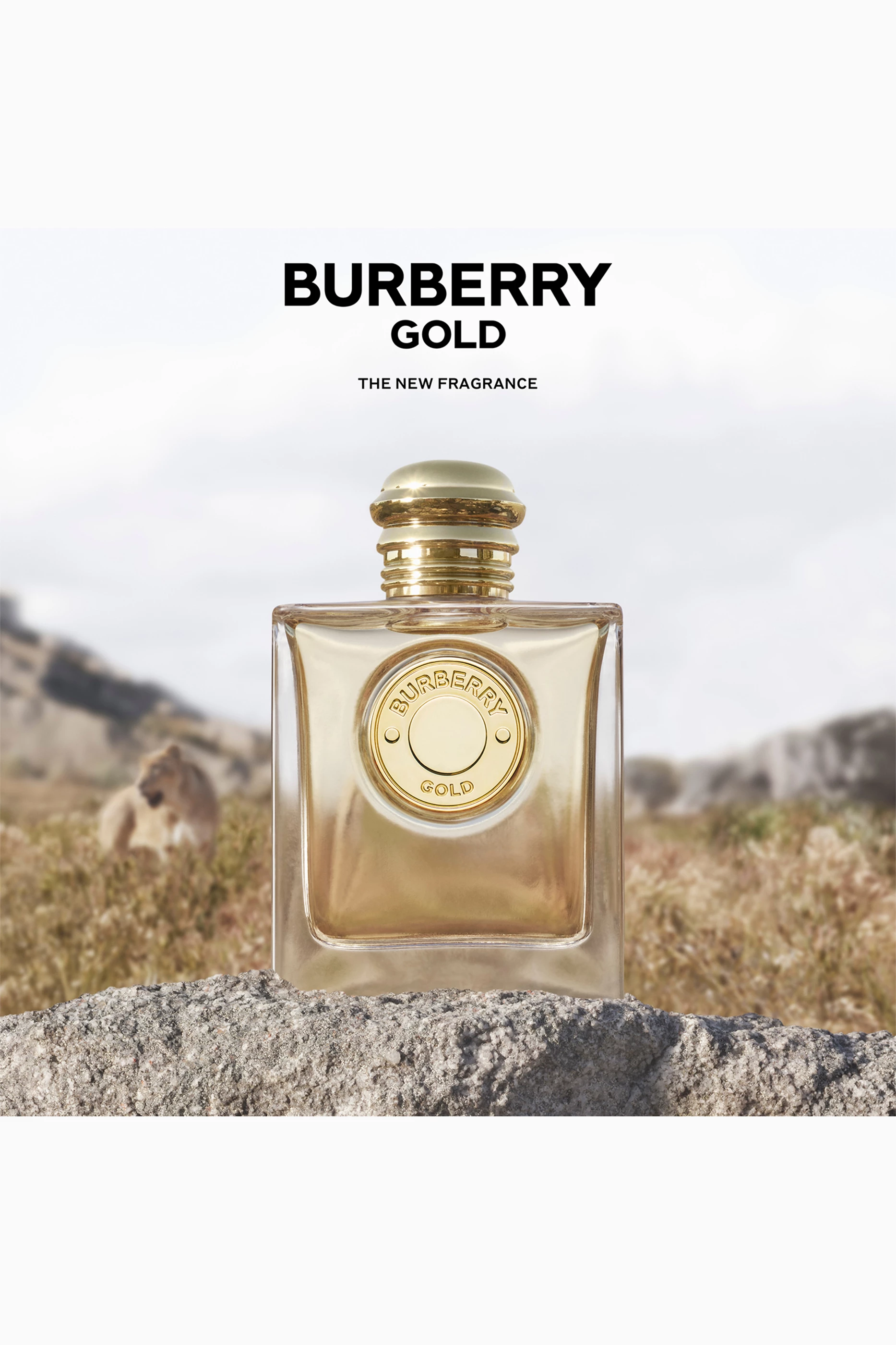 Burberry 100 ml gold 2025