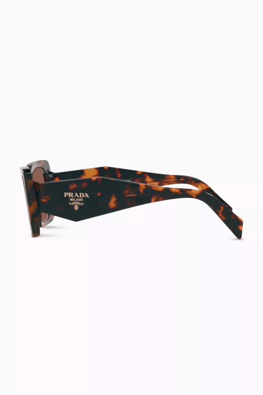 Buy Prada Brown Symbole Butterfly Sunglasses in Acetate For  display picture 2