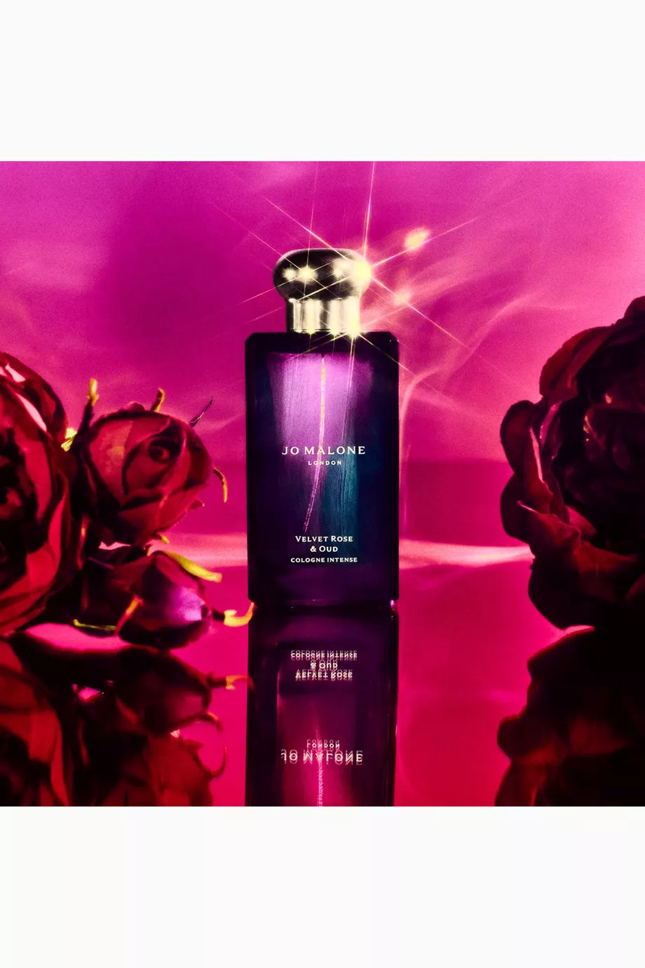 Buy Jo Malone London Velvet Rose & Oud Eau de Parfum Intense