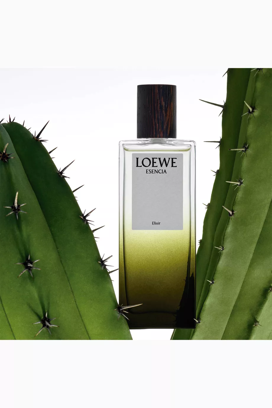 Buy LOEWE PERFUMES Colourless Esencia Elixir Eau de Parfum 100ml For Men Online Ounass Oman